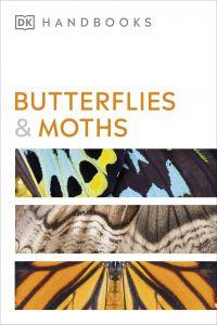 DK HANDBOOKS: BUTTERFLIES AND MOTHS