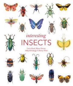 INTERESTING INSECTS 