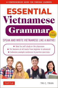 ESSENTIAL VIETNAMESE GRAMMAR: A COMPREHENSIVE GUIDE FOR FOREIGN LEARNERS 