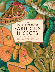 WONDER CABINET OF FABULOUS INSECTS, THE: SECRETS OF THE WORLD'S RAREST AND STRAN
