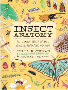 INSECT ANATOMY: THE CURIOUS WORLD OF BEES, BEETLES, BUTTERFLIES, AND BUGS