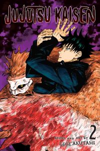 JUJUTSU KAISEN 02