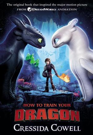 HOW TO TRAIN YOUR DRAGON 01 (MOVIE COVER)